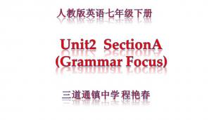七年级 英语 Unit2 SectionA Grammar Focus